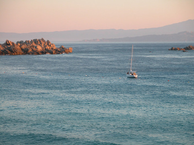 mare